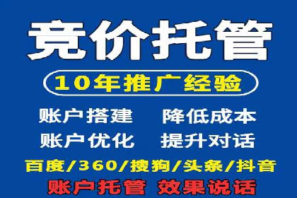 某品牌SEM推广策略的成效与启示